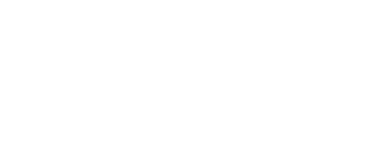 NeuroStar_Logo_White