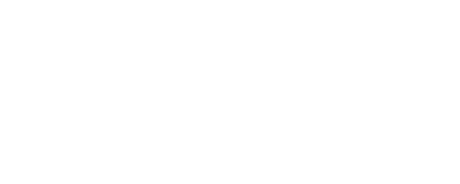 NeuroStar_Logo_White